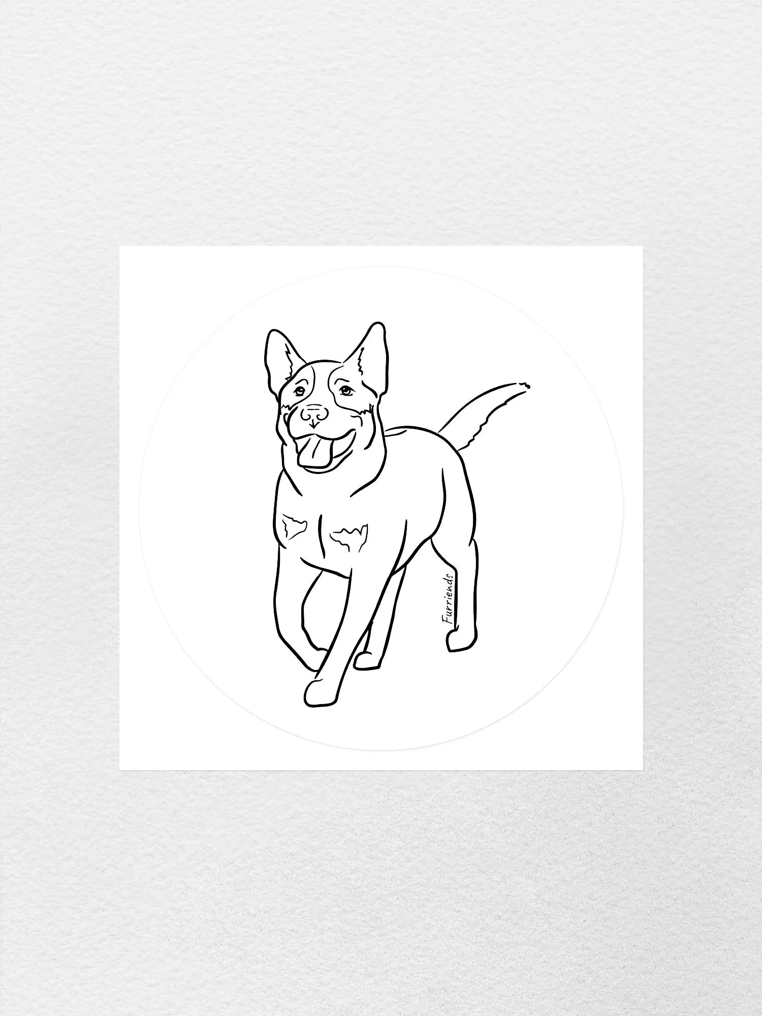 Australian Cattle Dog Sticker