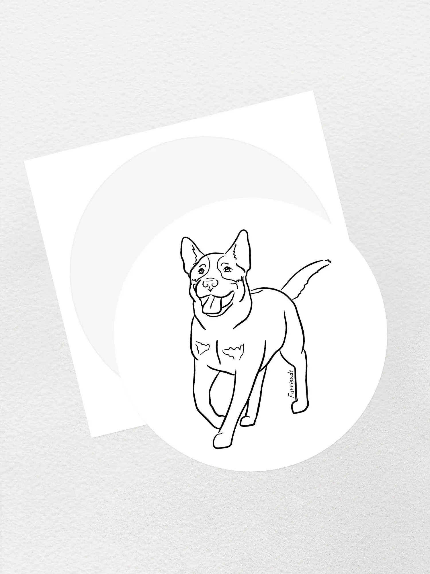 Australian Cattle Dog Sticker