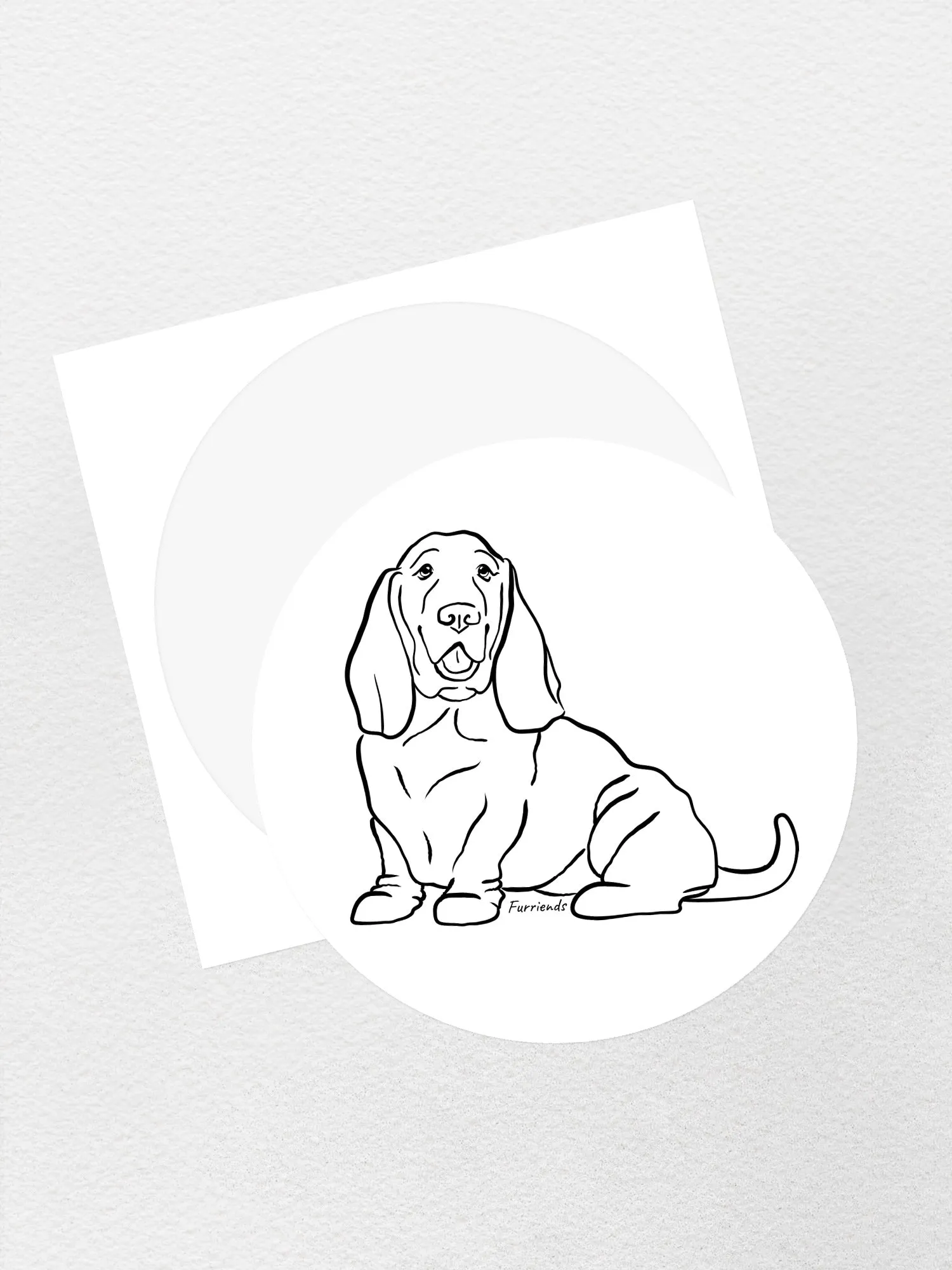 Basset Hound Sticker