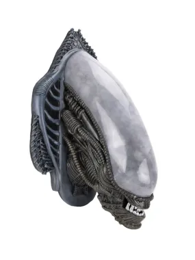 Xenomorph Alien Bust Wall-Mounted Foam Replica - Alien - NECA Collectibles